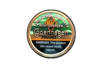 COPENHAGEN WINTERGREEN POUCHES 5CT 